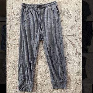 Joes jogger sweat pants